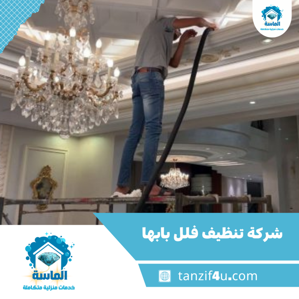 شركة تنظيف فلل بابها