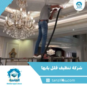 شركة تنظيف فلل بابها