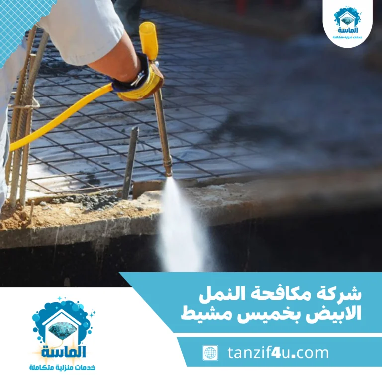شركة مكافحة النمل الابيض بخميس مشيط