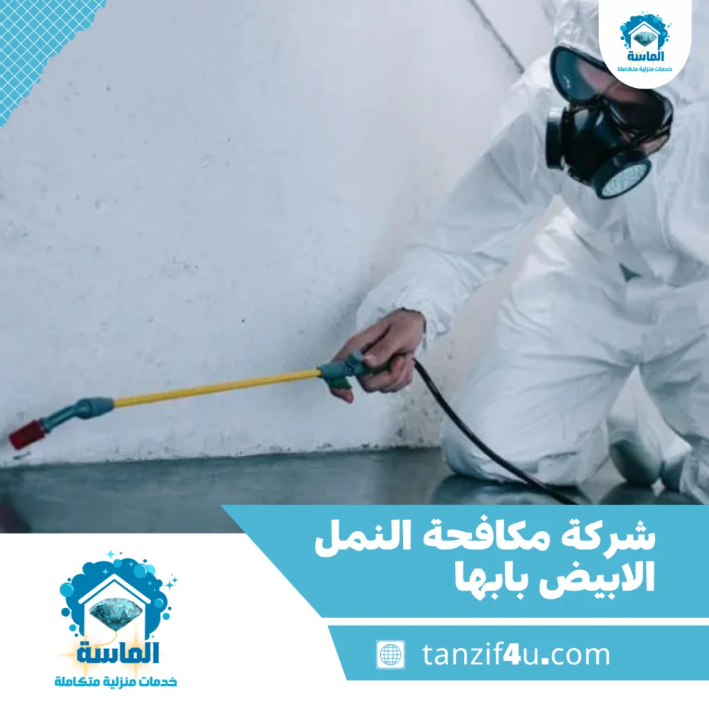 شركة مكافحة النمل الابيض بابها شركة مكافحة النمل الابيض بابها