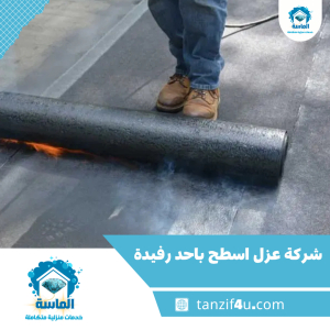 شركة عزل اسطح باحد رفيدة