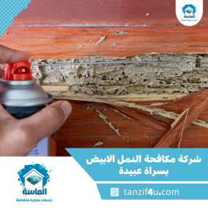 شركة مكافحة النمل الابيض بسراة عبيدة