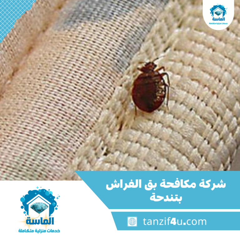 شركة مكافحة بق الفراش بتندحة