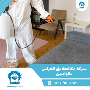 شركة مكافحة بق الفراش بالواديين شركة مكافحة بق الفراش بالواديين