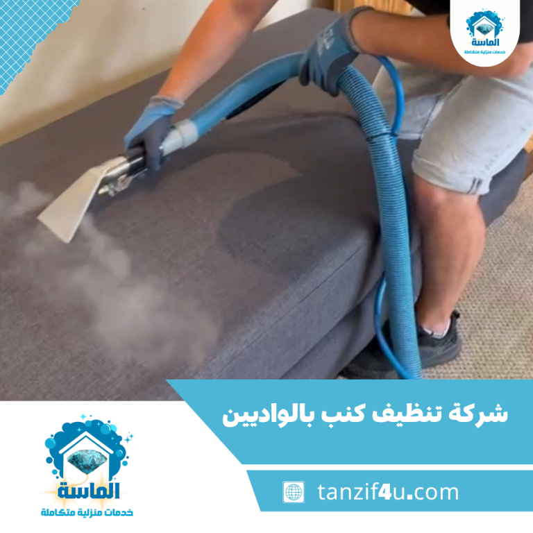 شركة تنظيف كنب بالواديين