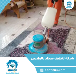 شركة تنظيف سجاد بالواديين شركة تنظيف سجاد بالواديين