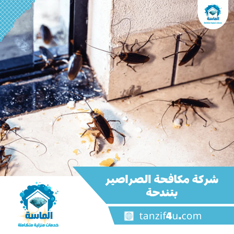 شركة مكافحة الصراصير بتندحة