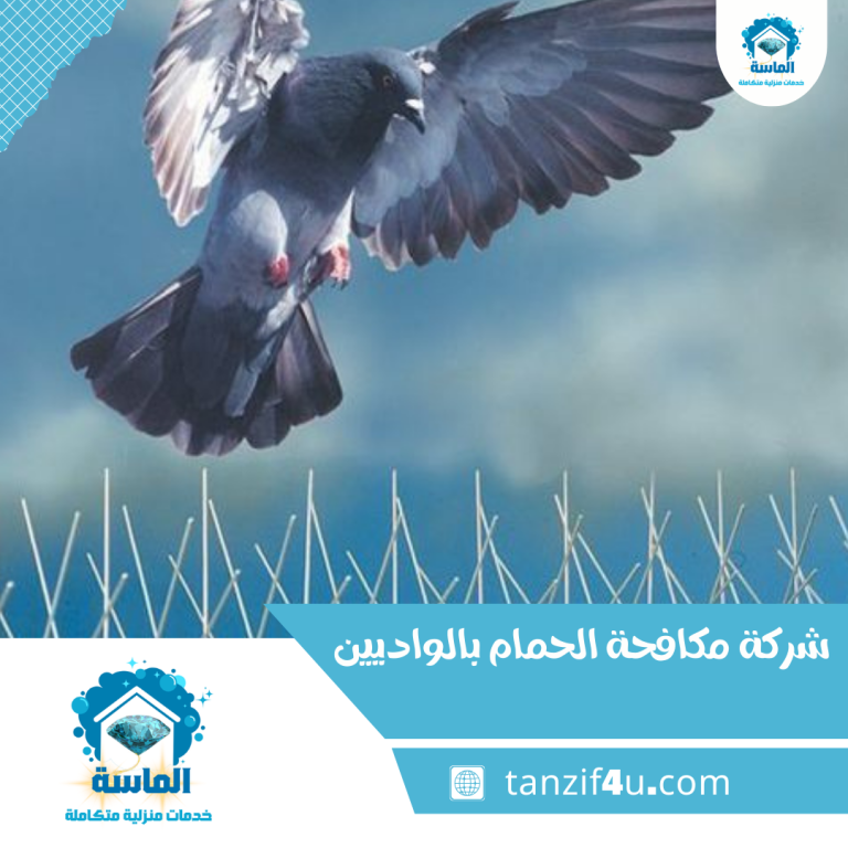 شركة مكافحة الحمام بالواديين